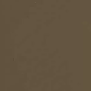 Jednolite tło w ciepłym, ciemnobrązowym odcieniu.