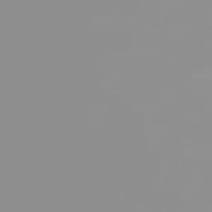 Jednolite szare tło.