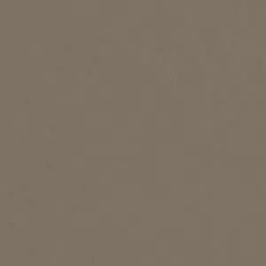 Jednolite tło w kolorze taupe (brązowo‑szarym) z lekko ziarnistą teksturą.