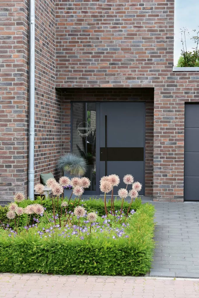 Nowoczesne, antracytowe drzwi wejściowe z wąskim pionowym uchwytem i poziomym pasem, z bocznym naświetlem, w elewacji z czerwonej cegły, otoczone rabatem z czosnkami ozdobnymi i brukowaną ścieżką.